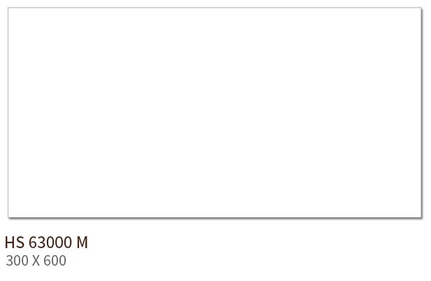 HS 63000M ��ǥ�̹���