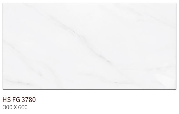 HS FG 3780 ��ǥ�̹���