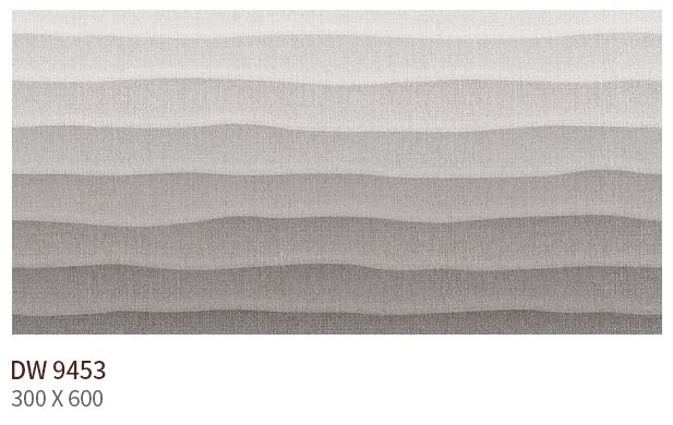 HS DW 9453 (����) ��ǥ�̹���