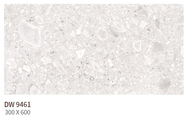 HS DW 9461 (����) ��ǥ�̹���