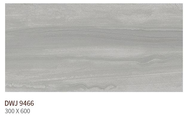 HS DWJ 9466 (����) ��ǥ�̹���