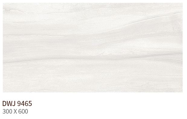 HS DWJ 9465 (����) ��ǥ�̹���