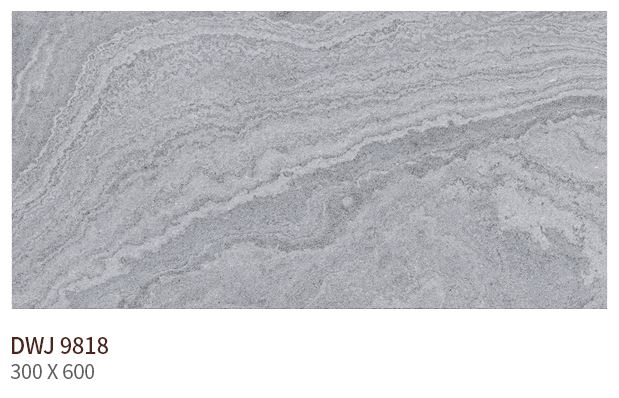 HS DWJ 9818 (����) ��ǥ�̹���