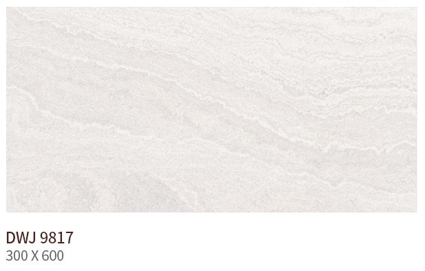 HS DWJ 9817 (����) ��ǥ�̹���