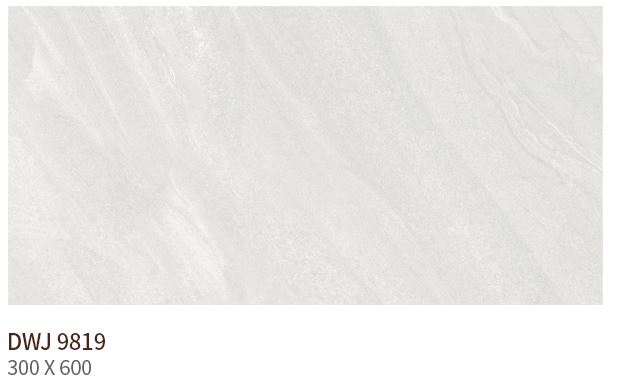 HS DWJ 9819 (����) ��ǥ�̹���