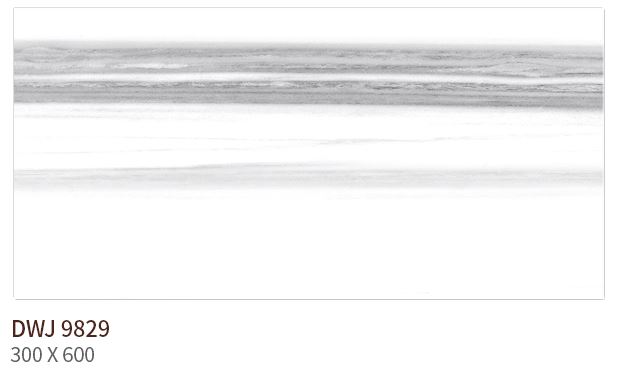 HS DWJ 9829 (����) ��ǥ�̹���