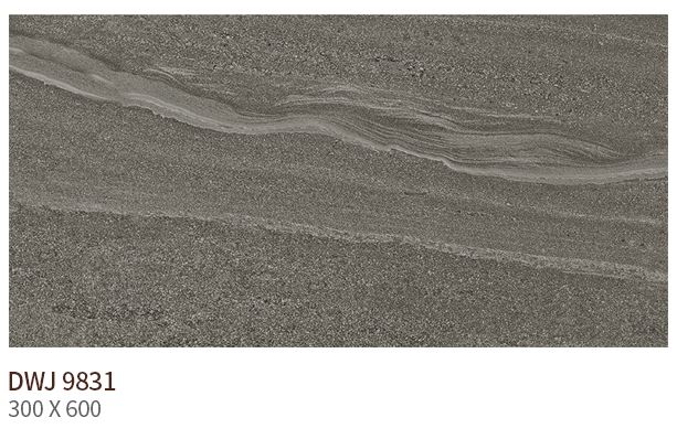 HS DWJ 9831 (����) ��ǥ�̹���