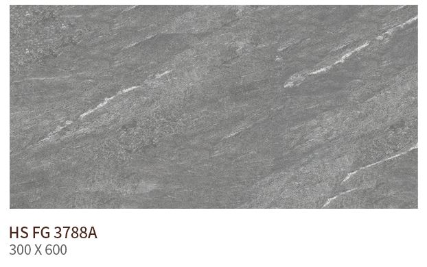 HS FG 3788A ��ǥ�̹���