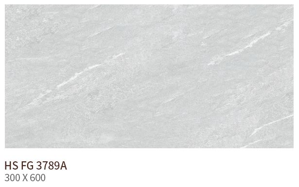 HS FG 3789A ��ǥ�̹���