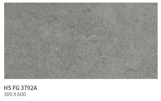 HS FG 3792A ��ǥ�̹���