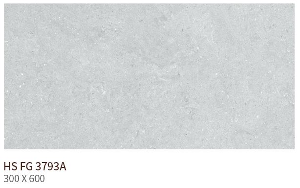 HS FG 3793A ��ǥ�̹���