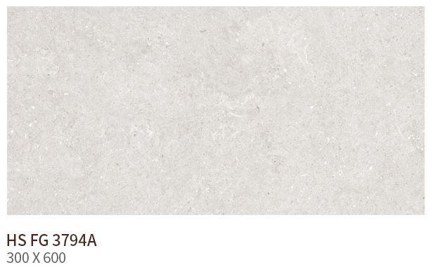 HS FG 3794A ��ǥ�̹���