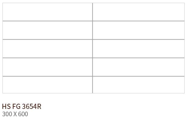 HS FG 3654R ��ǥ�̹���