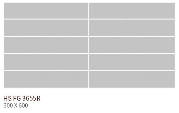 HS FG 3655R ��ǥ�̹���