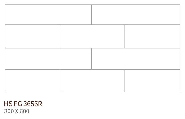 HS FG 3656R ��ǥ�̹���
