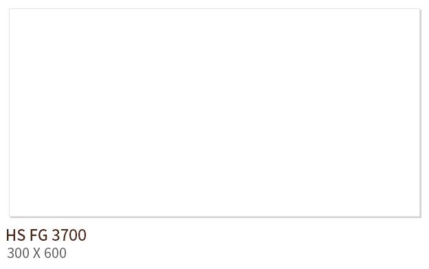 HS FG 3700 ��ǥ�̹���