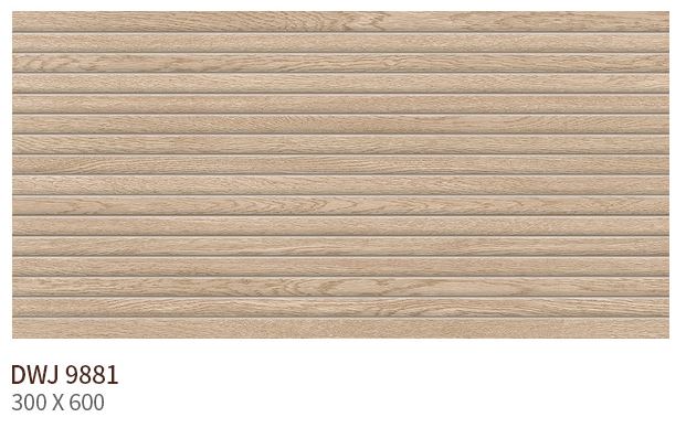 HS DWJ 9881 (����) ��ǥ�̹���