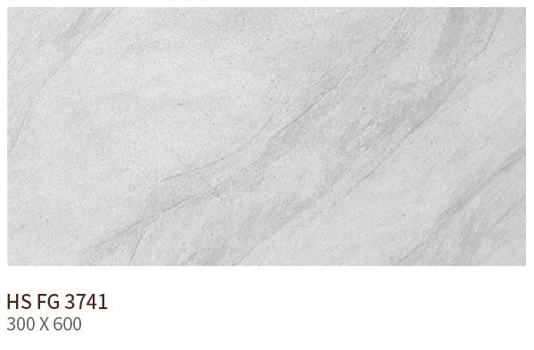 HS FG 3741 ��ǥ�̹���