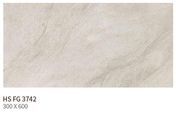 HS FG 3742 ��ǥ�̹���