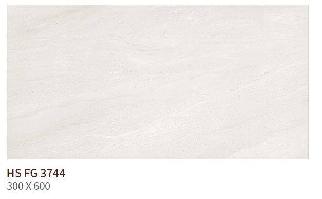 HS FG 3744 ��ǥ�̹���