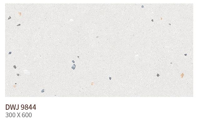 HS DWJ 9844 (����) ��ǥ�̹���