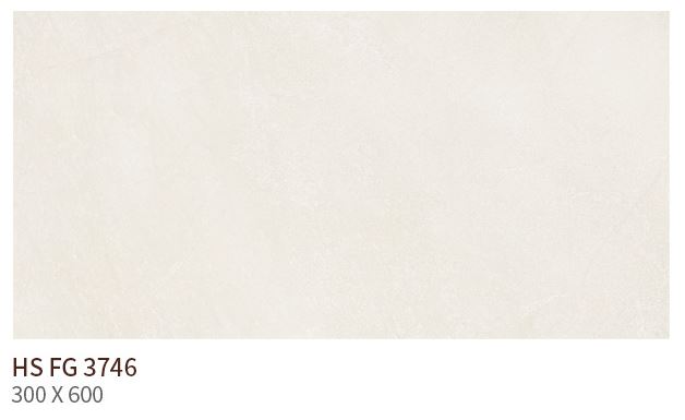 HS FG 3746 ��ǥ�̹���