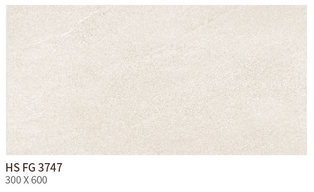 HS FG 3747 ��ǥ�̹���