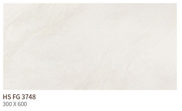 HS FG 3748 ��ǥ�̹���