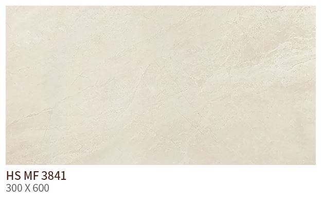 HS MF 3841 ��ǥ�̹���