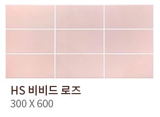 HS ���� ���� ��ǥ�̹���
