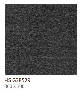 HS G 38529 ��ǥ�̹���