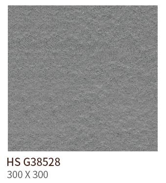 HS G 38528 ��ǥ�̹���