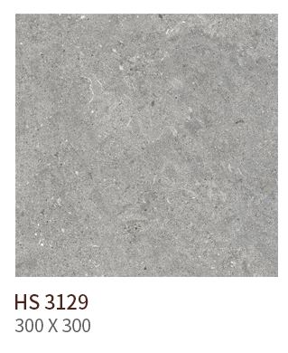 HS 3129 ��ǥ�̹���