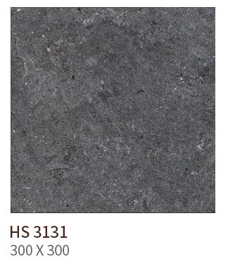 HS 3131 ��ǥ�̹���