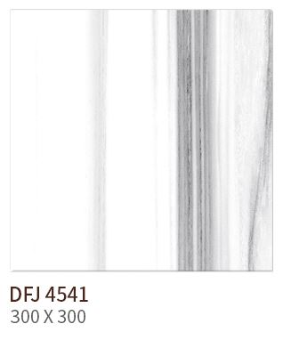 HS DFJ 4541 ��ǥ�̹���