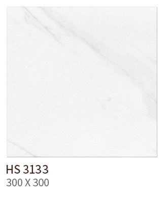 HS 3133 ��ǥ�̹���