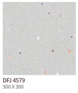 HS DFJ 4579 ��ǥ�̹���