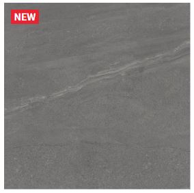 HS ���� ��ũ�׷��� 600 ��ǥ�̹���