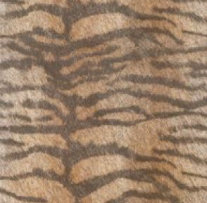 AB Ÿ�̰� ��ǥ�̹���