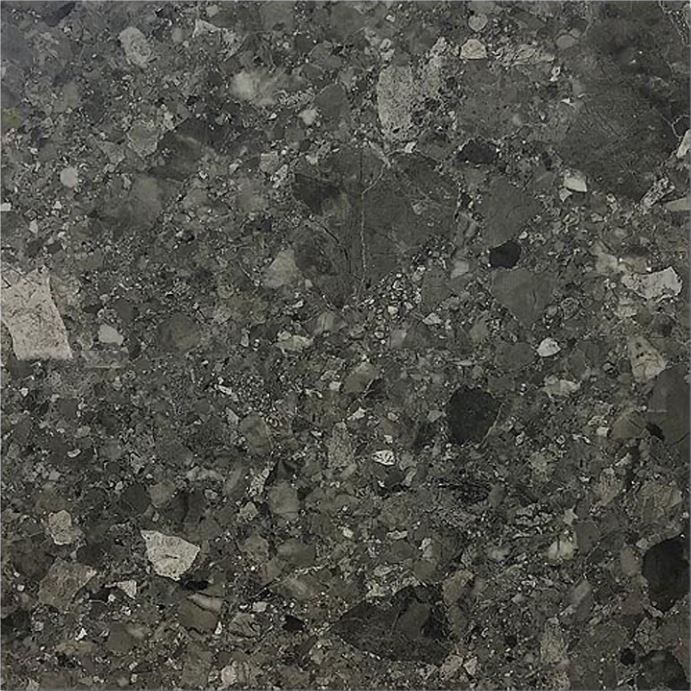 ES 1019 ��ǥ�̹���