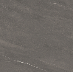 SG 66356 ��ǥ�̹���