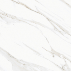 SG M6341 ��ǥ�̹���