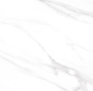 SG GP66231 ��ǥ�̹���