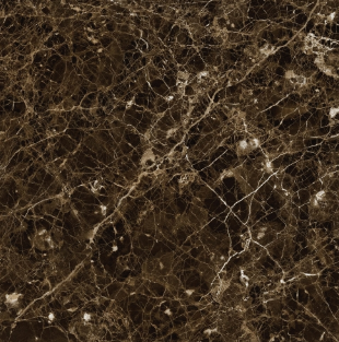 SG 60801 ��ǥ�̹���