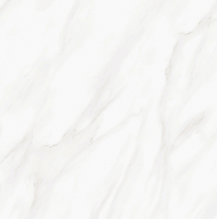 SG 7041 ��ǥ�̹���