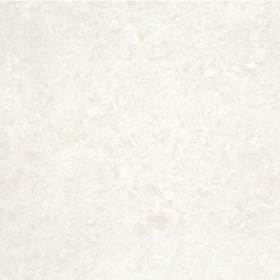 SG XF6001L ��ǥ�̹���