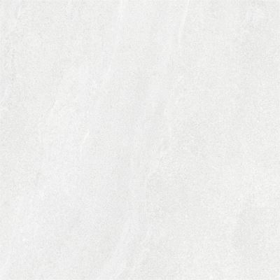 SG 66201 ��ǥ�̹���