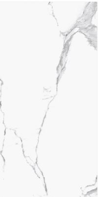 SG 612101 ��ǥ�̹���