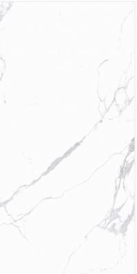 SG 612061L ��ǥ�̹���