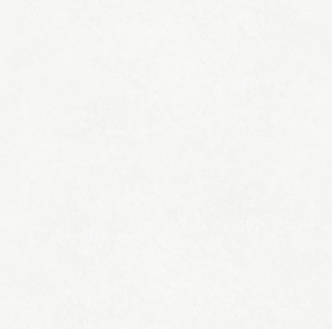 BT PE 6051M ��ǥ�̹���